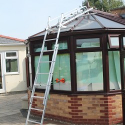 New Professional Conservatory Ladder