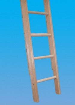 Trade Timber Ladder-Single Section